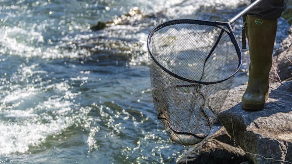 Ein Angler steht am Ufer eines Gewässers und hält ein Netz in der Hand. Das Wasser fließt glitzernd im Hintergrund.